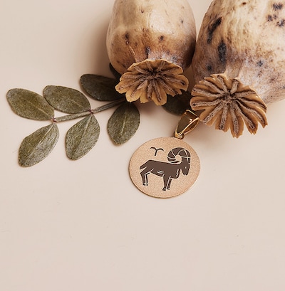 Show your zodiac sign image