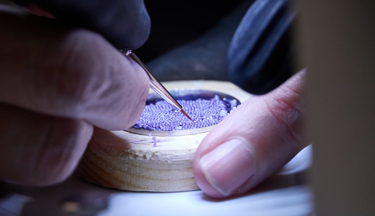 Bovet craft.png image
