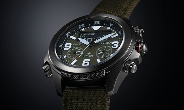 Citizen - Promaster image
