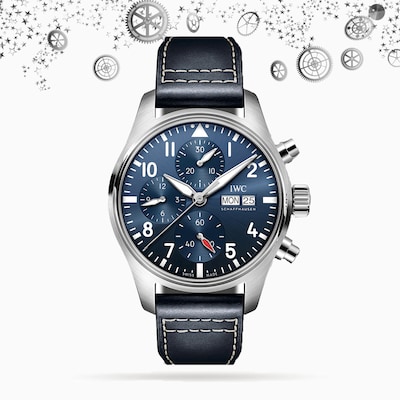 IWC.jpg image