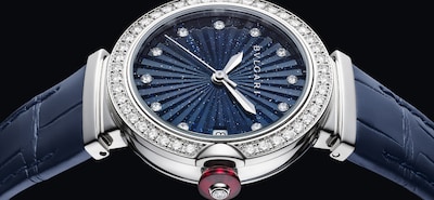 LVCEA Main Hub Image.png image