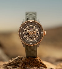 Mens Watch Collections image