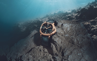 Panerai Icons 4.png image