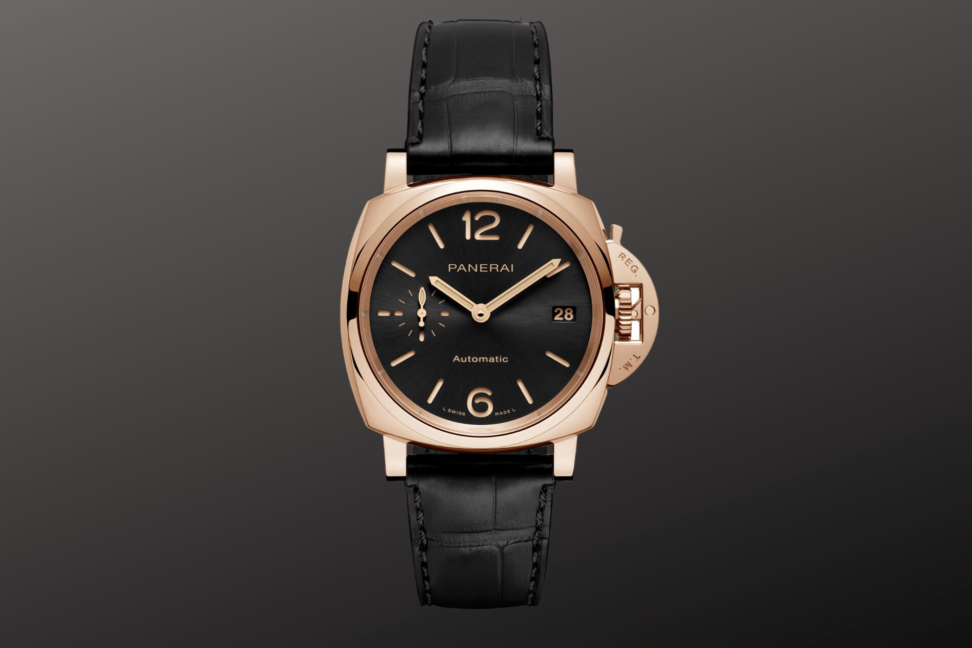 Panerai-goldtech.png image