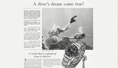 Rolex Reference Among Divers Lead Image 9.png image