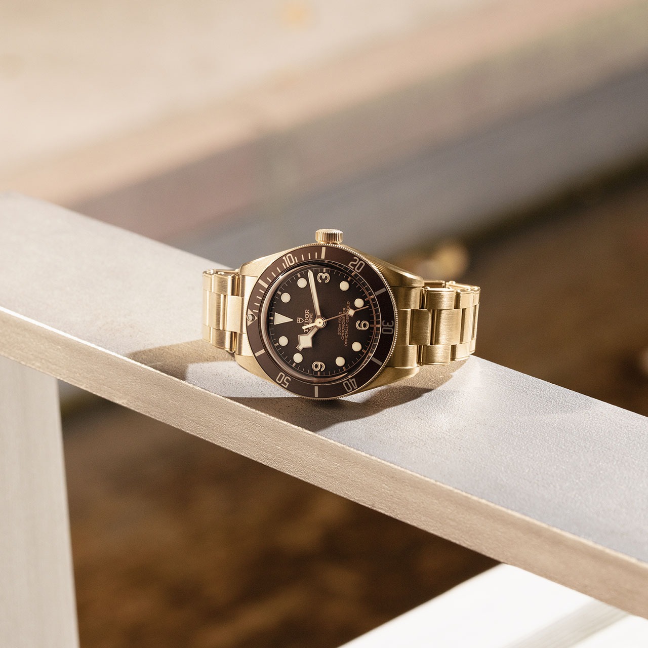 TUDOR-2020-S28-LS-960.jpg image