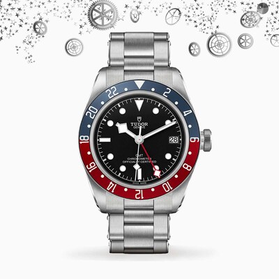 TUDOR-ADJUST.jpg image