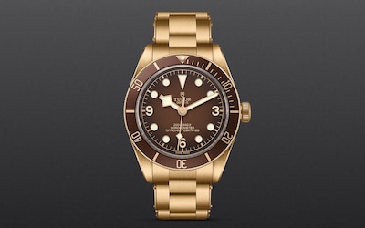 TUDOR-BOUTIQUE-58-BRONZE-UPRIGHT.png image