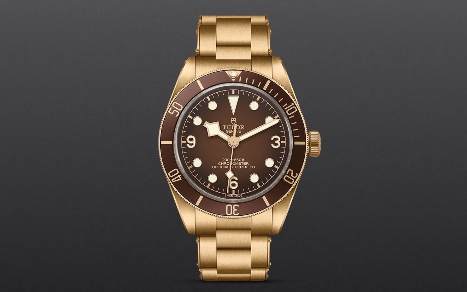 TUDOR-BOUTIQUE-58-BRONZE-UPRIGHT.png image