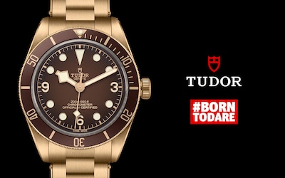 TUDOR-BOUTIQUE-58-BRONZE.png image