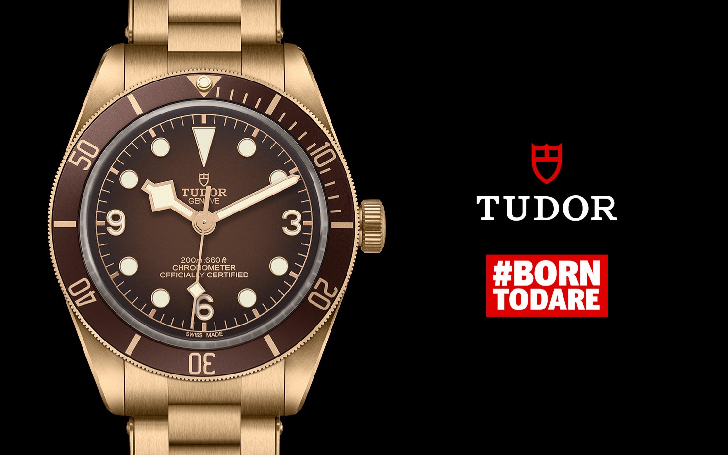 TUDOR-BOUTIQUE-58-BRONZE.png image