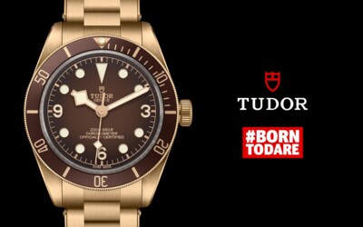 TUDOR-BOUTIQUE-58-BRONZE.png image