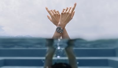 Tudor Pelagos Lead Article 1.png image
