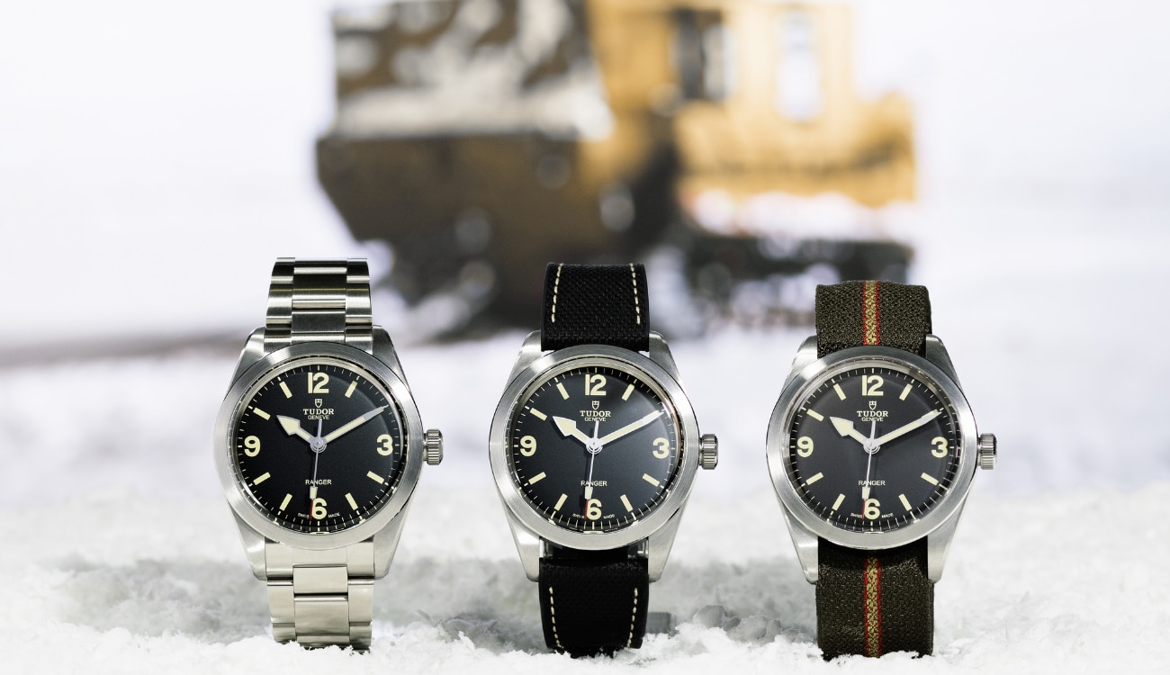 Tudor Ranger Lead Article 1.png image