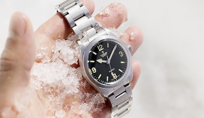 Tudor Ranger Lead Article 3.png image