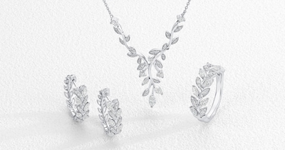 Vinea main image.png image