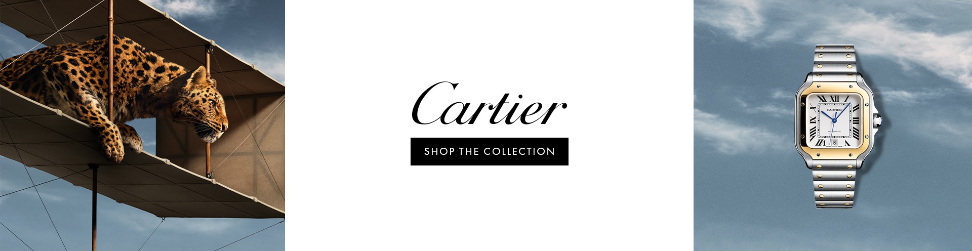 Cartier Santos Banner - Shop the Collection image