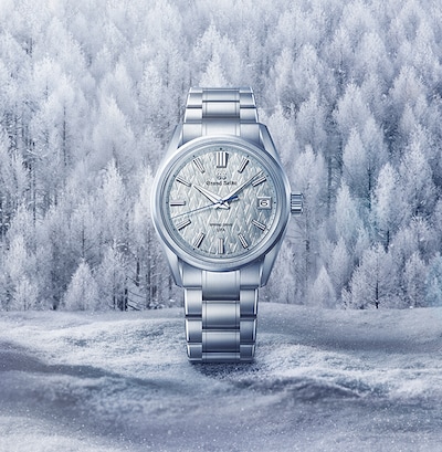 Grand Seiko Evolution 9 watch with icy forest background image