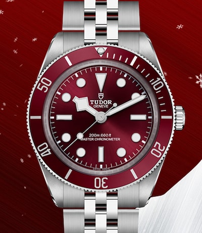 Tudor Black Bay 58 Watch Image image
