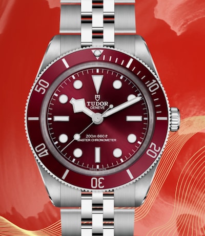 Tudor Black Bay 58 Watch Image image
