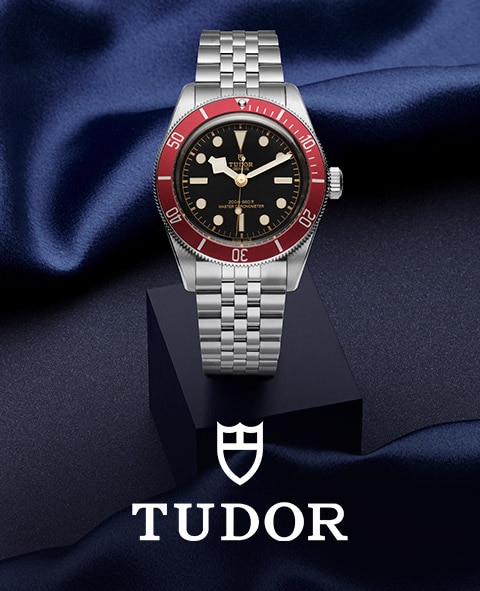 Tudor image