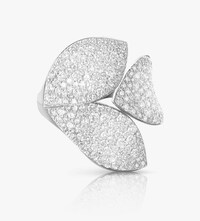 Pasquale Bruni - Rings image