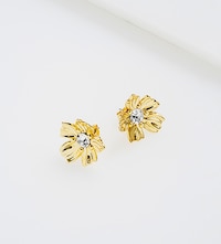 An image of Ted Baker earrings image