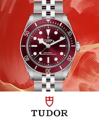 Tudor Black Bay 58 Watch Image image