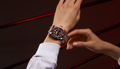 tudor black bay image