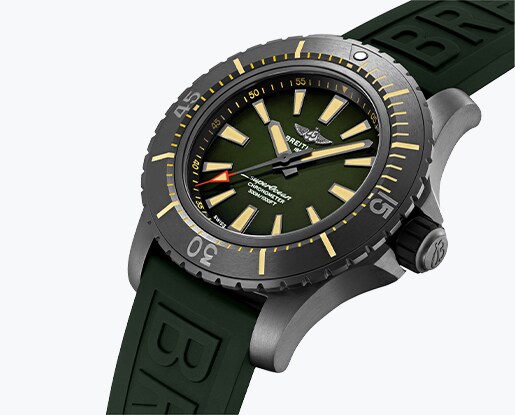 Water Resistance Watch Guide image