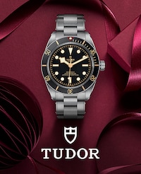 Tudor image