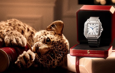 Cartier Christmas Campaign - Tap to Shop image