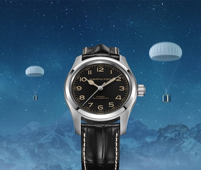 Hamilton Festive Campaign Banner image