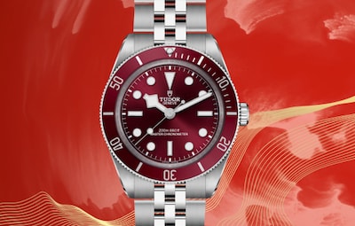 Image of Tudor Black Bay 58 watch image