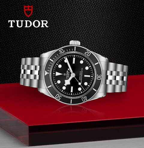 TUDOR image