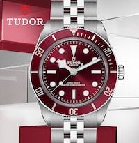 Tudor Watch Brand image